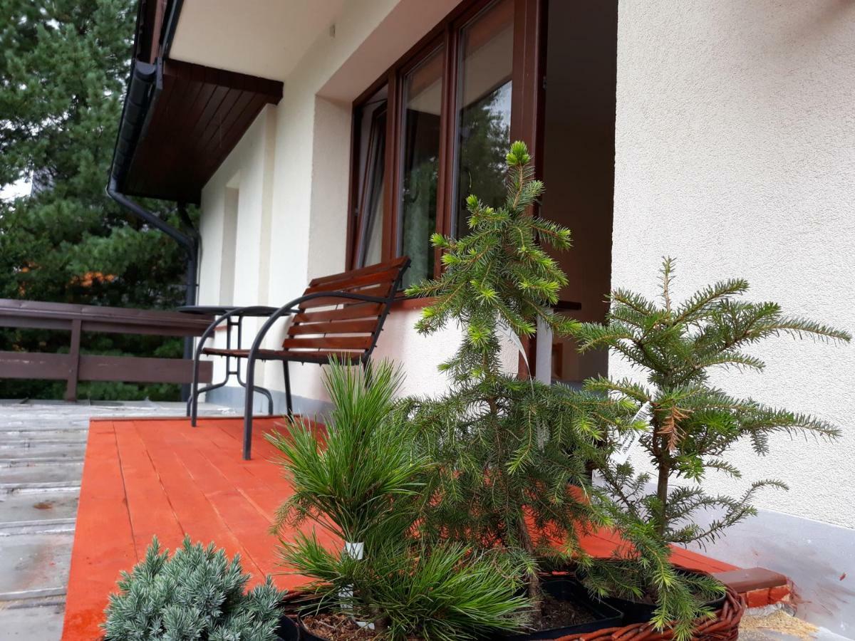 Willa Sichla Murzasichle Apartment Exterior foto