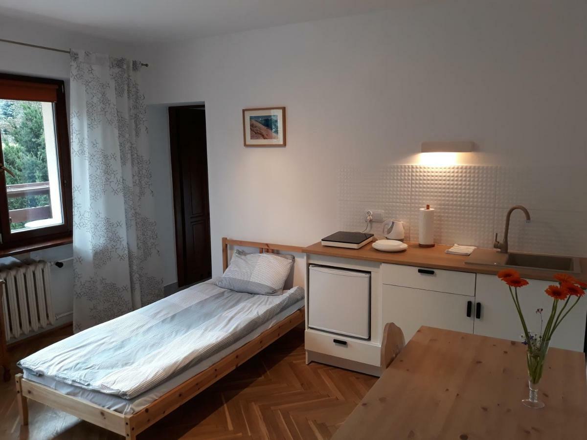 Willa Sichla Murzasichle Apartment Exterior foto